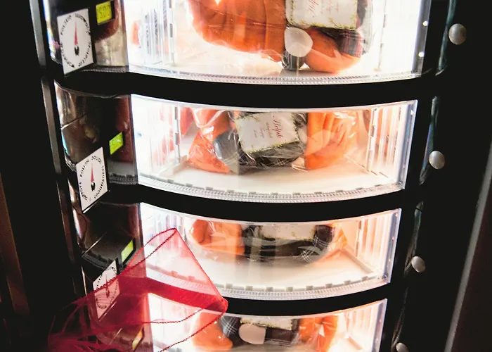 酒店 华沙老城宜必思酒店 华沙