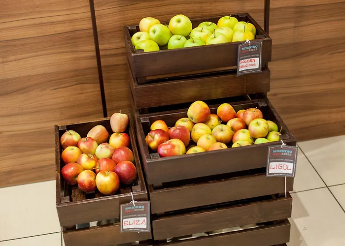 Hotel Ibis Stare Warszawa